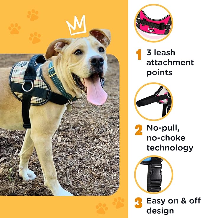 Bark Appeal Purple No-Pull Dog Harness for XS to Small Sized Pets – Adjustable, Reflective Vest with 3 Leash Clips for Added Control, Easy Walks & Training – Small
