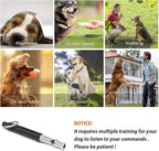 Dog Whistle to Stop Barking, Adjustable Pitch Ultrasonic Training Tool Silent Bark Control for Dogs-1 Free Lanyard Strap with Pack of 1 PCS Pet Whistle