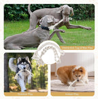 Dog Rope Toys for Large/Medium Aggressive Chewers, Tough Cotton Chew Toy, 18in Indestructible, Tug of War Dog Pull Rope Teeth Cleaning (2 pack-18Inch)