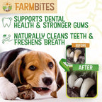 Bully Sticks for Dogs – 100% Natural, Odor-Free, Air-Dried Beef Pizzle, Grain-Free & Fully Digestible Dog Chews – Long Lasting Treats for All Breeds (6 Inch, 25 Pack)