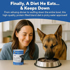 Dave's Pet Food Bland Diet Dog Food (Chicken & Rice), Sensitive Stomach, Easy to Digest, Gluten-Free, Digestive Care, Wet Canned, 13.2 oz (Case of 12)