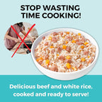 KOHA Limited Ingredient Bland Diet for Dogs, Beef and White Rice Sensitive Stomach Wet Dog Food, Sold in Over 5,000 Vet Clinics & Pet Stores, Gentle Easy to Digest Bland Diet Dog Food, Pack of 6