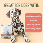 Polkadog Crunchy Alaskan Salmon Chips – Single Ingredient Dog Treats with Wild-Caught Salmon – All Natural, Grain-Free, Lean Protein & Omega-3 Rich Snacks for Dogs – Handcrafted in USA - 2.75 oz