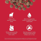 Go! Solutions Skin + Coat Care, Dry Dog Food, Lamb Recipe with Grains, 3.5 lb Bag