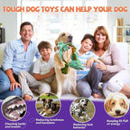 Crinkle Dog Toys Squeaky Plush No Stuffing Cute Puppy Stuffless Tough Rop Pull Toy, Fun Dog Stuffed Animals Durable Chew Set for Small Medium Large Pup (Large, Lizard)