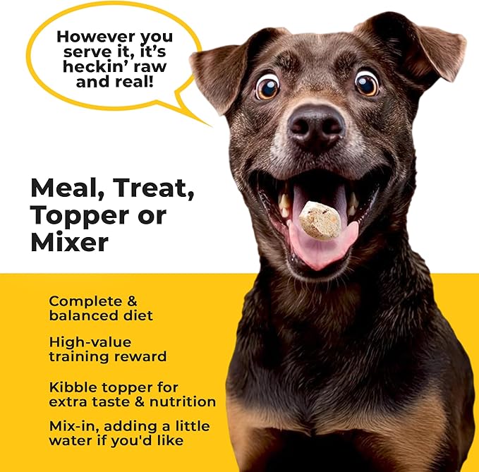 Chonky Chicken - Freeze Dried Raw Dog Food, Complete Meal, Real Cuts of Chicken for Training, Meal Topper, High Protein, 21g Per Cup, Made in The USA, 20oz Bag