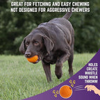 Chew King 3 Inch Bacon Flavor Rubber Balls 2 Pack