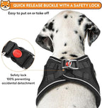 Dog Harness with Leash Set, No-Pull Step-in Reflective Pet Harness with 1 Leash Clips, Adjustable Soft Padded Easy Walk Dog Vest for Small Medium Large Dogs, Cats(Carbon Black, Large)
