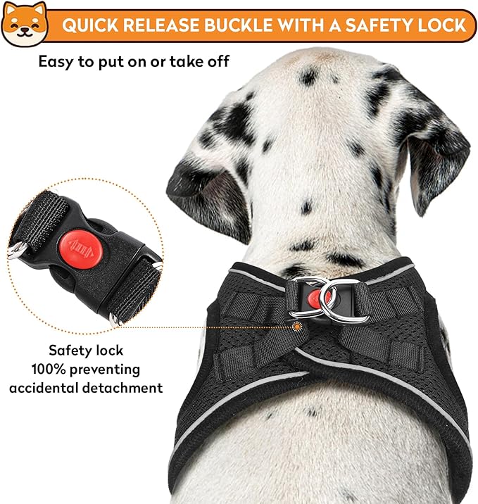 Dog Harness with Leash Set, No-Pull Step-in Reflective Pet Harness with 1 Leash Clips, Adjustable Soft Padded Easy Walk Dog Vest for Small Medium Large Dogs, Cats(Carbon Black, Large)