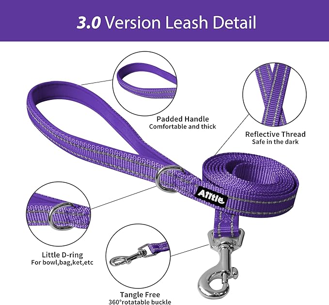 AIITLE Comfortable Dog Harness and Leash Set for Walking - Summer Step in Vest Harness,Reflective Bands, Adjustable No Pull Puppy Essentials, for Small Dogs and House Cats Purple XS