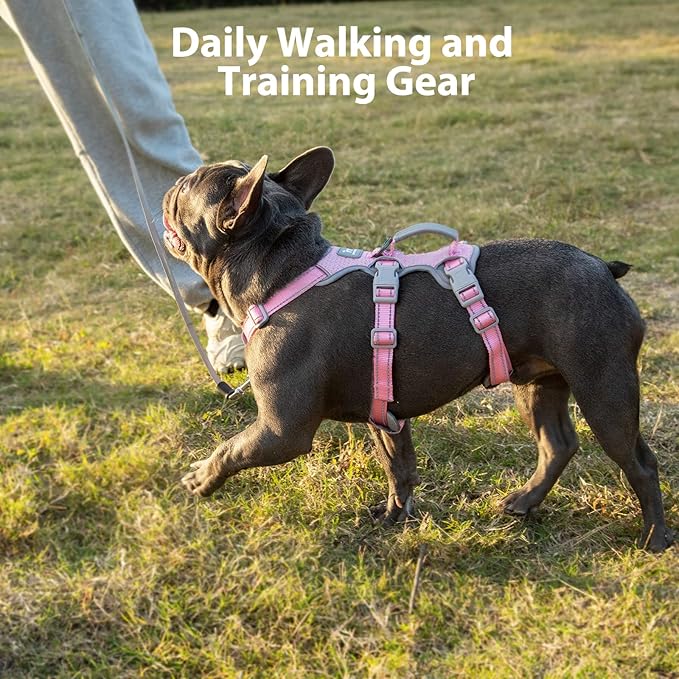 Huntboo Escape Proof Dog Harness, Escape Artist Harness, Fully Reflective Vest with Padded Handle, Breathable,Durable, Adjustable Vest for Medium Dogs Walking, Training, and Running Gear (Pink, XS