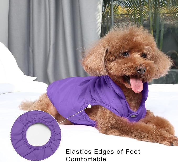 2 Layers Fleece Lined Warm Dog Jacket for Puppy Winter Cold Weather,Soft Windproof Small Dog Coat,Purple S