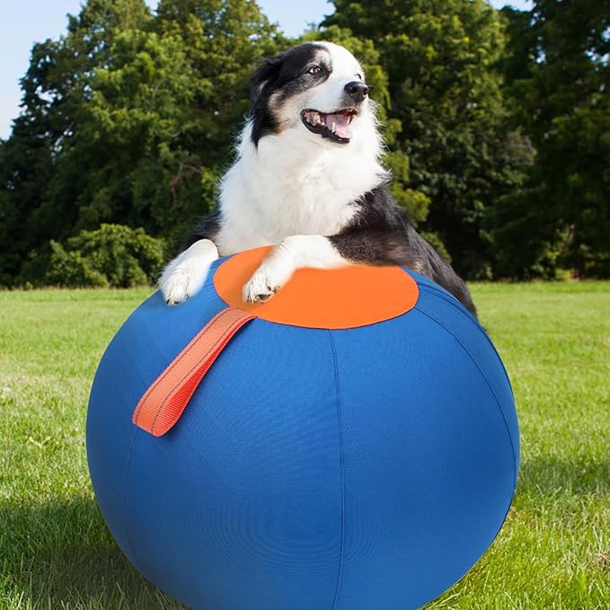Dog Herding Ball for Dogs & Puppies, Toy Balls for Cattle, Australian Shepherd, Non-Chewing Activities, Large Dog Toy | Oxford Fabric Cover, Pump, with Patch Repair Kit (26 inch)