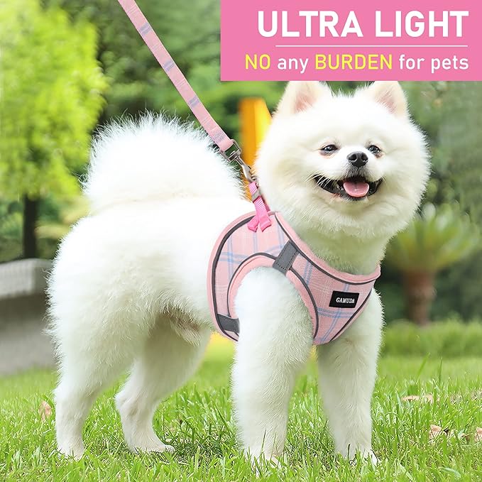 GAMUDA Small Dog Harness Collar and Leash Set, Step in No Chock No Pull Soft Mesh Adjustable Dog Vest Harnesses Plaid Reflective for Dogs Puppy Cats Kitten Rabbit (Pink, XXXS)