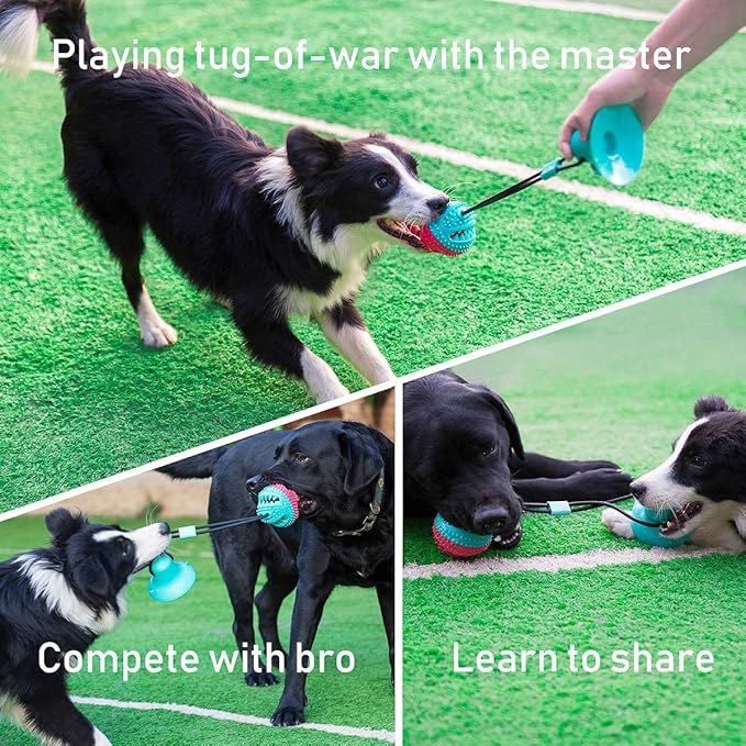 Interactive Dog Toys Tug of War, Mentally Stimulating Toys for Dog, Puppy Teething Toys for Boredom to Keep Them Busy, Dog Puzzle Treat Food Dispensing Ball Toy for Small Medium Dogs on Smooth Floor