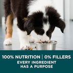 Purina One Plus Puppy Dry Dog Food for Large Dogs High Protein Growth Support, Real Chicken - 31.1 lb Bag