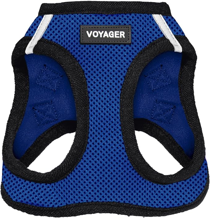 Best Pet Supplies Voyager Step-in Air Harness - All Weather Mesh, Reflective, No Pull Harness for Dogs, Cats - Secure with Hook & Loop Fastener, Buckle, Double D-Rings - Royal Blue/Black Trim, XXS
