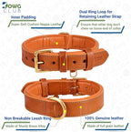 | Genuine Leather Dog Collar | Full Grain, Heavy Duty | Comfortable, Padded, Strong | Best for Pups, Small, Medium, Large & XL Breeds (X-Large (Fit Neck Size 22"-26"), Tangerine Orange)