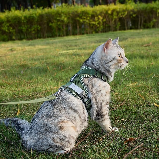 Cat Harness and Leash Escape Proof Medium Kitten Harness Bengal Cat Vest for Walking Travel, Dark Green, M