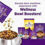Wellness Complete Health Dry Dog Food with Grains, Natural Ingredients, Made in USA with Real Meat, All Breeds, For Adult Dogs (Healthy Weight - Chicken & Potatoes, 5-Pound Bag)