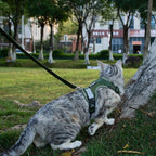 Cat Harness and Leash Escape Proof Small Kitten Harness Abyssinian Cat Vest for Walking Travel, Dark Green, S