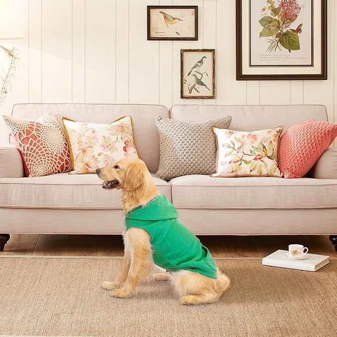 EXPAWLORER Dog Hoodie Fleece Sweater Vest, Hooded Dog Sweatshirt Fall Winter Pet Clothes with Leash Ring, Sleeveless Warm Cozy Puppy Clothing for Cat Small Medium Large Dogs Girl Boy, Green M