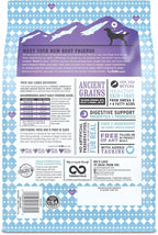 I and love and you Naked Essentials Ancient Grains Dry Dog Food - Chicken + Turkey - High Protein, Real Meat, No Fillers, 4lb Bag