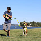 Pawtitas 6 FT Comfortable Leash for Puppy Training - Extra Small to Small Sizes, Grey