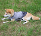 Reversible Dog Coats for Small Dogs Waterproof Warm Puppy Jacket for Cold Winter,Grey XS