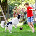 Honoson 2 Pcs Dog Ball for Aggressive Chewers, Indestructible Interactive Dog Toy with Squeaky Giggle, Elastic Rubber Wobble Chew Toy for Small Medium Large Dogs, Teeth Cleaning