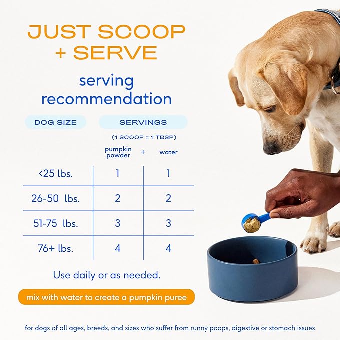 Native Pet Beef Bone Broth for Dogs (4.75 oz) & Organic Pumpkin for Dogs (8 oz.) - Dog Bone Broth Powder Food Topper for Picky Eater and All-Natural, Organic Fiber Pumpkin Powder