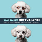 Mighty Paw Waggables Eyes (Made in USA) | Tear Stain Chews for Dogs. Vision and Tear Stain Support Supplements for Dogs. Lutein Supplement. Lubricates Eyes, Immune Support (120 Ct)