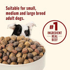 Nutrish Dry Dog Food, Real Beef, Pea & Brown Rice Recipe Whole Health Blend for Adult Dogs, 6 lb. Bag (Rachael Ray)