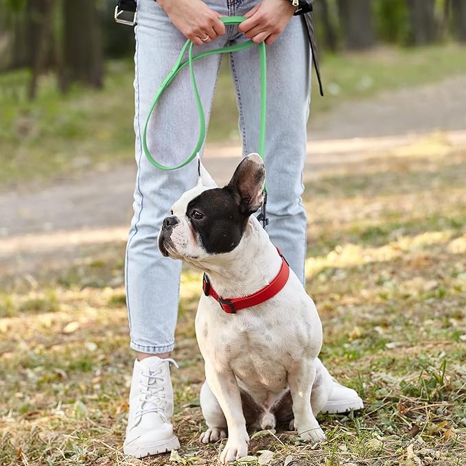 Dogline Biothane Waterproof Dog Leash Strong Coated Nylon Webbing with Black Hardware Odor-Proof Easy to Clean High Performance for Small or Large Dogs Made in USA 2 ft Lead, Sea Foam Green