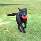 Chew King Flavored Rubber Ball Collection, 4 Inch Beef Flavor Rubber Fetch Balls 2-Pk