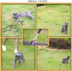 AMAGOOD 6 FT Puppy/ Dog Leash, Strong and Durable Traditional Style Leash with Easy to Use Collar Hook, Great for Small, Medium and Large Dogs (5/8 in x 6 ft, Black and Blue (2-Pack))