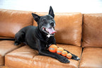 Outward Hound Squeaker Ballz 6-Pack Tennis Ball Dog Toys with Squeaker, Interactive Fetch Play for Pets Under 50 lbs, Training Balls for Indoor & Outdoor Exercise, Medium, 2.5-inch