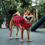 ASENKU Dog Sweater, Plaid Dogs Fleece Vest, Soft Comfortable Pet Pajamas, Warm Winter Puppy Shirt, Cold Weather Coat Jacket Pet Clothes for Small & Medium Dog Breeds, Red, L