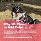 2 Pack Colostrum Nutritional Gel for Dog & Cat - High Calorie Supplement for Senior Dogs Cats, Stimulate Appetite for Cats, Immune Support, Dog Cat Weight Gainer, Elderly Pets Supplement