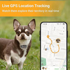 Pawfit Lite for Small Dogs 4g GPS Tracker | Real Time Tracking | Activity Monitoring |Location History | Unlimited Range | Charcoal Grey