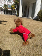 Dogs Waterproof Jacket, Lightweight Waterproof Jacket Reflective Safety Dog Raincoat Windproof Snow-Proof Dog Vest for Small Medium Large Dogs Red XS