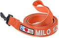 Pawtitas Personalized Dog Leash Embroidered Customize Leash with Your Pet Name & Phone Number Leash Puppy Leash Leash 6 ft Long Dog Leash Puppy Small Leash Orange Custom Engraved Name, Orange ✅ Solid