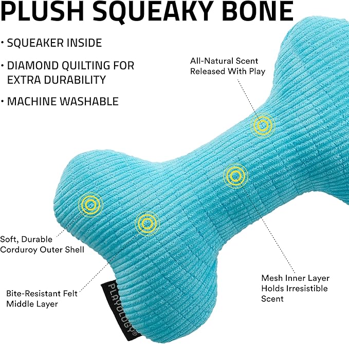 Playology Dog Toys | Plush Squeaky Bone Chew Toy for Dogs | Medium Peanut Butter Scented Toy - Easy to Clean and Made from Non Toxic Materials