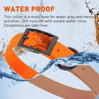 Dogline Biothane Waterproof Dog Collar Strong Coated Nylon Webbing with Black Hardware Odor- Proof for Easy Care Easy to Clean High Performance Fits Small Medium or Large Dogs, Hunter Orange