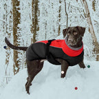 IECOii Extra Warm Dog Coat - Reflective, Adjustable Winter Jacket with Buckle & Fleece Turtleneck for Small to Extra Large Dogs