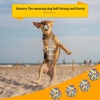Dog Balls Toys for Aggressive Chewers, Indestructible Durable Bouncy Floating Balls for Dogs to Fetch, Durable Solid Rubber Ball for Training Dog(2 Pack)