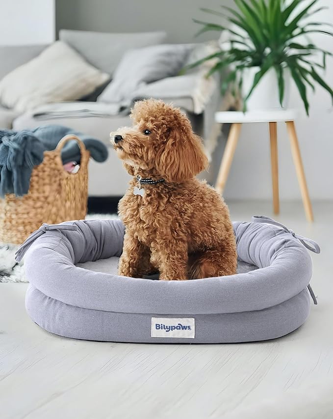 Orthopedic Dog Bed for Small Dogs, Pet Sofa Bed with Egg Crate Foam, 4-Sided Bolster, Removable Washable Cover & Anti-Slip Bottom, Small Gray
