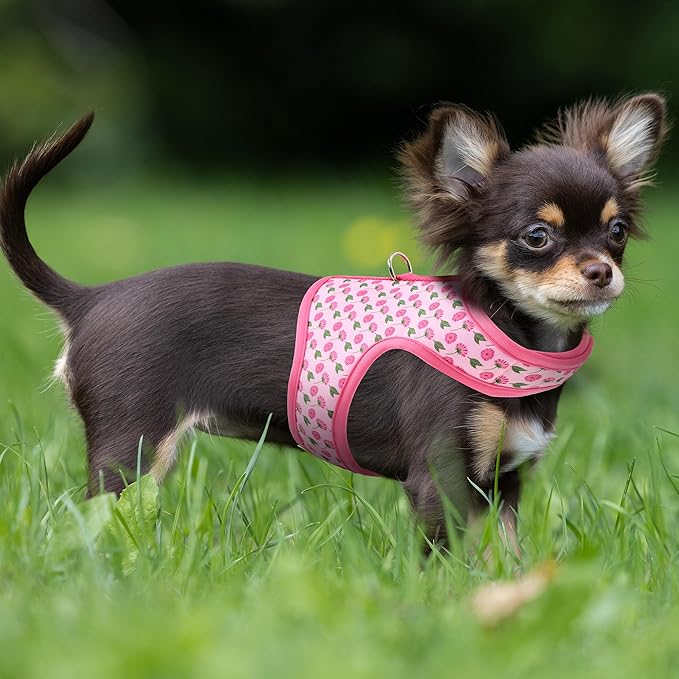 Mile High Life Dog Harness, Air Mesh Floral Vest Harness for 20 lbs Small Dogs & Cats, Easy Get on Adjustable Easy Closures Both Neck and Chest (Pink Flower, XS Chest 14"-16")