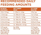 Purina ONE Plus Healthy Weight High-Protein Dog Food Dry Formula - 8 lb. Bag
