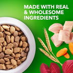 IAMS Proactive Health Healthy Weight Control Large Breed Adult Dry Dog Food with Real Chicken, 29.1 lb. Bag